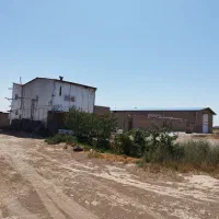 گاوداری صنعتی 104 راسی (امینی) بهر جاده اصلی|فروش دفتر صنعتی، کشاورزی، تجاری|دشتابی, |دیوار