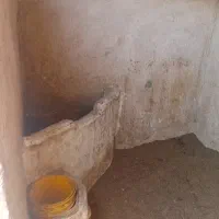 ۲عدد باکس نگهداری اسب با کاه دان بزرگ با آخور