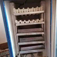 دستگاه جوجه کشی دماوند|لوازم جانبی حیوانات|شیراز, فخرآباد (دروازه کازرون)|دیوار