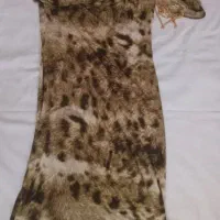 ساده وشیک