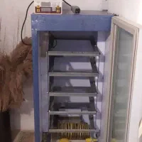 دستگاه جوجه کشی|لوازم جانبی حیوانات|شفت, |دیوار