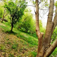 ویلا-باغ-4000-متری-دهبوره-راه