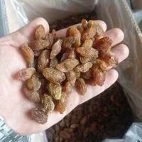 کشمش افتابی و مویز (عمده و خرده)