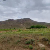 زمین باغ انگور|فروش دفتر صنعتی، کشاورزی، تجاری|بهار, |دیوار