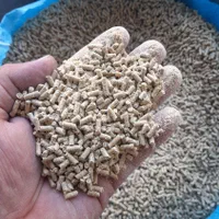 فروش مرغ زنده و انواع پرندگان دون تخمگذار دان|حیوانات مزرعه|تهران, صادقیه|دیوار