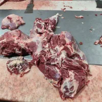 لاشه کامل گوساله بی خص شده کیلویی ۸۴۰|خوردنی و آشامیدنی|کرج, عظیمیه|دیوار