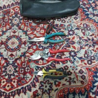 اچار|ابزارآلات|دلیجان, |دیوار