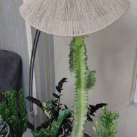 آباژور با لامپ رشد گیاه|چراغ خواب و آباژور|کرج, باغستان|دیوار