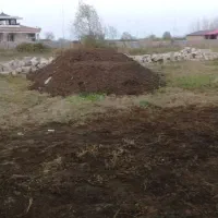 فروش کود حیوانی خاک برگ خاک باغچه و...|خدمات باغبانی و درختکاری|لنگرود, |دیوار