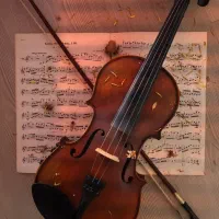 فروش و اموزش ویولن ( نقد و اقساط )