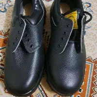 کفش ایمنی کار ، ضد ضربه