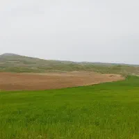 زمین-کشاورزی