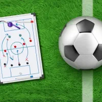 مربی و آنالیزور فوتبال تیم ملی و پرسپولیس