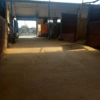 کار در باشگاه سوار کاری