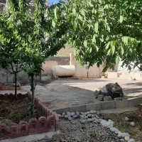 اجاره روزانه ویلا باغ|اجارهٔ کوتاهمدت ویلا و باغ|الشتر, |دیوار