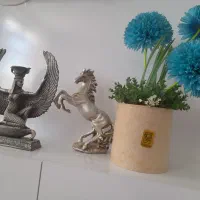 تعدادی دکور نو نون