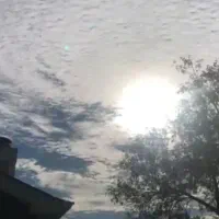 زمین زراعی کشاورزی اجاره