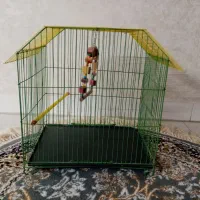 قفس پرنده نو