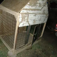 قفس پرنده فروش فوری|لوازم جانبی حیوانات|کوهین, |دیوار