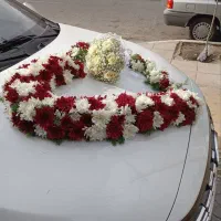 پکیج های ویژه عروسی تالار هفت شهر