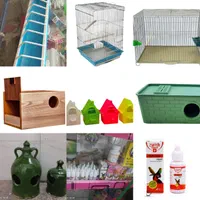 پرنده فروشی طوطیو|پرنده|شهرکرد, |دیوار