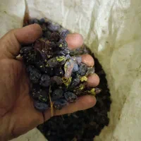 کشمش|خوردنی و آشامیدنی|ساوه, |دیوار