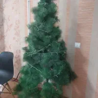 درخت کریسمی