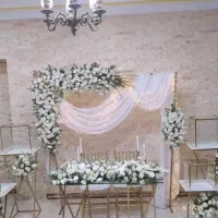 استند بله برون یا بک گراند گل ماشین عروس|گل و گیاه طبیعی|تهران, یافت آباد شمالی|دیوار