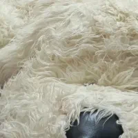 خرس بزرگ
