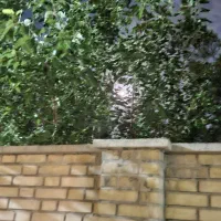 مشاروه مسافرت