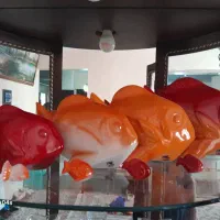 دکوری خاص چینی مقصود