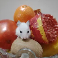 همستر بامزه شیطون