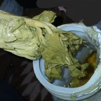 غنچه کرفس اصل کوه یَکه
