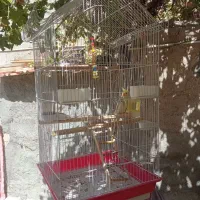 سکینه بانوکوچه موزاییک سازی