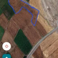 زمین کشاورزی