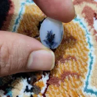 نگسن شچر قاعنات طبیعی درجه یک