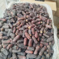 پخش خرمای مهرسام