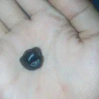 سنگ سیاه (فردوس)|جواهرات|اسلامیه, |دیوار