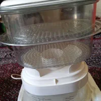 بخار پز تفال سالم