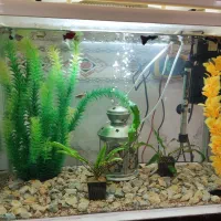 اکواریوم شیشه خم کارخانه ای