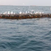 اجاره-سویت-مبله-اقمتگاه-ساحلی