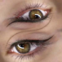 نیازمند مدل فیبروز،شیدینگ،بن مژه،خط چشم،رژلب دائم|خدمات آرایشگری و زیبایی|شیراز, میانرود|دیوار
