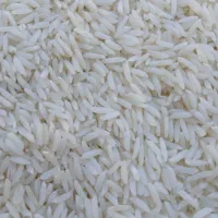 فروش برنج هاشمی مغان