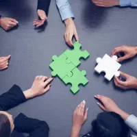 استخدام نیروی کار آقا و خانم
