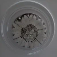 لوستر سقفی دو عدد