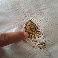 ۷ کیسه دان پارس پلمپ برای مرغ و بوقلمون