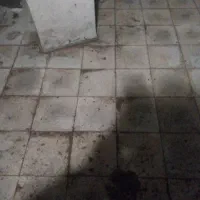 زمین در علمدار(کاشانه سبز)