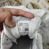 کتونی زدایکس یاسی|کیف، کفش، کمربند|تهران, هوانیروز|دیوار