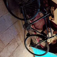 دو چرخه فنیکس|دوچرخه، اسکیت، اسکوتر|اهواز, کوی علوی|دیوار