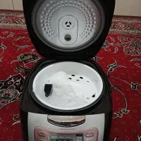 پلوپز سرخ کن|اجاق گاز و لوازم برقی پخت‌وپز|یاسوج, |دیوار